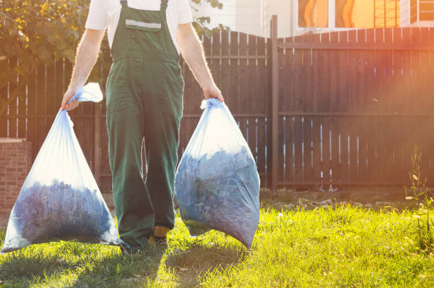 Best Office Junk Removal  in Laurens, IA